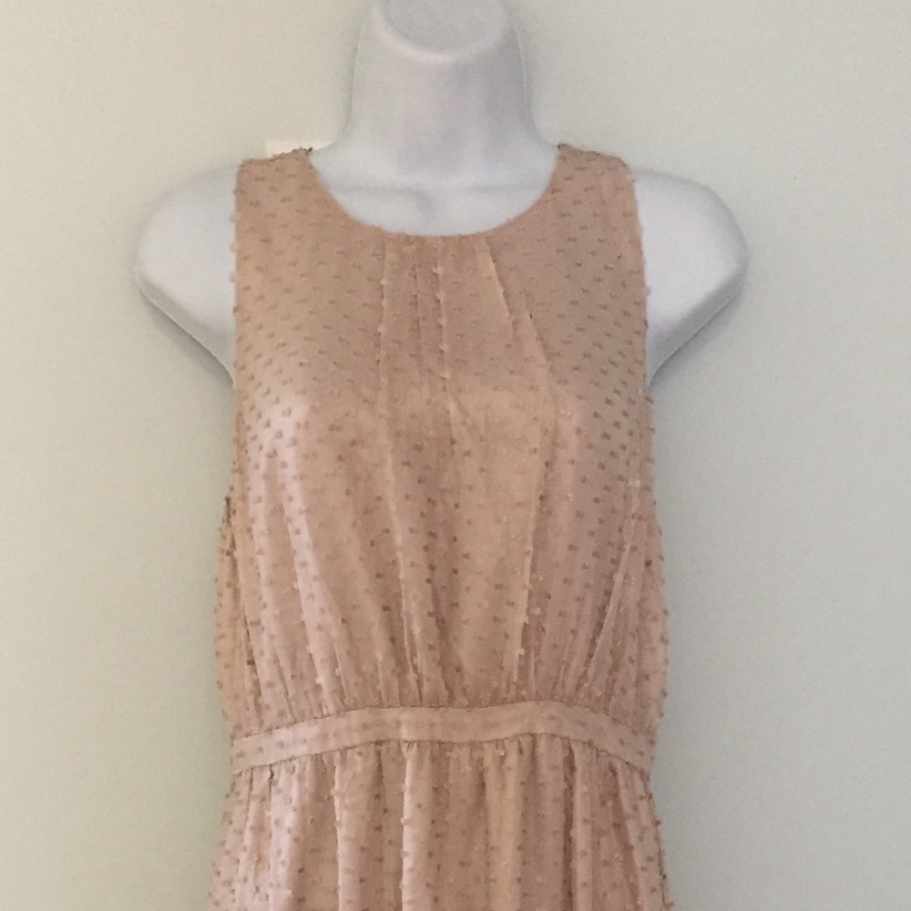 J. Crew Collection Metallic Clip-Dot Dress